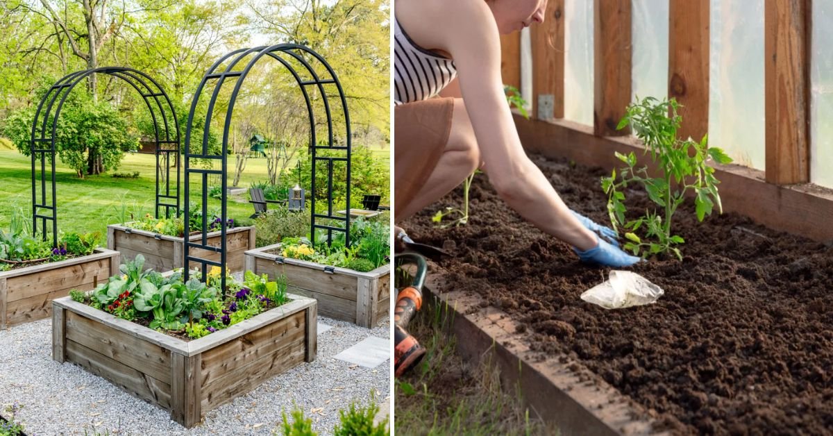 Creating a Raised Bed for Growing Crops: A Step-by-Step Guide for Healthier Harvests