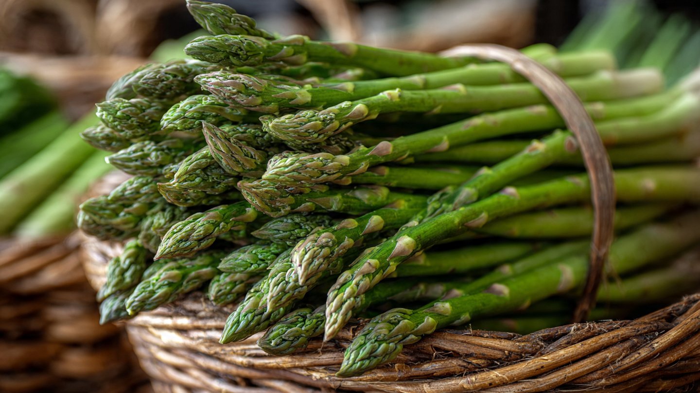 Growing Asparagus at Home — Most Productive, Effective & Fast to Harvest