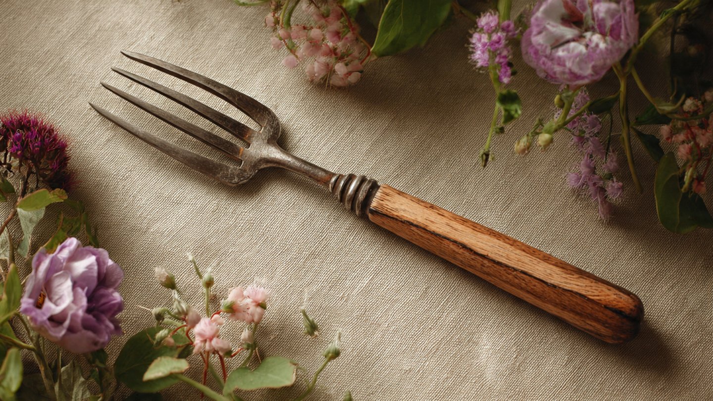 How Can a Hand Fork Transform Your Delicate Weeding Game?