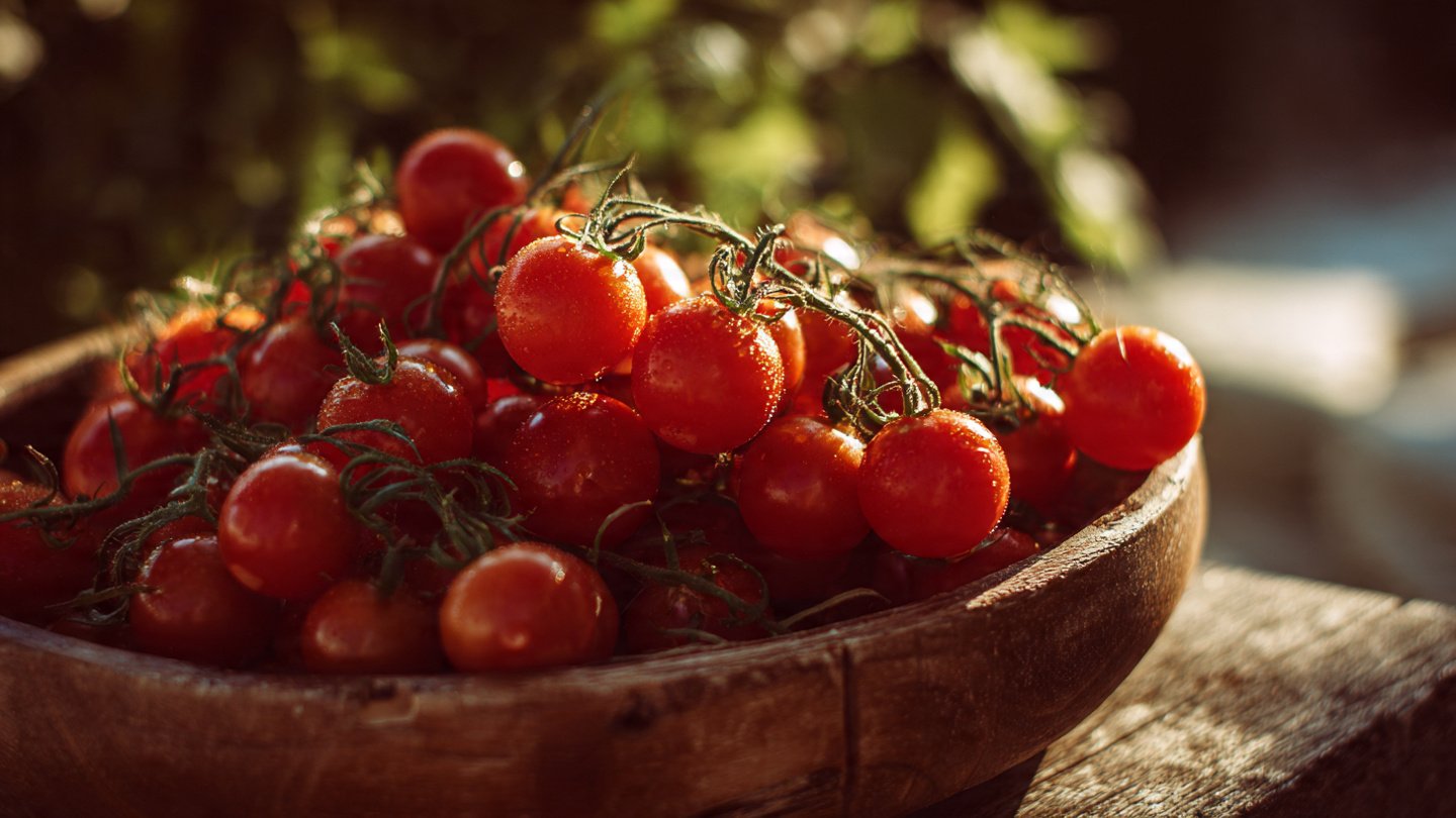 How Can You Grow Your Own Tomatoes for Fresh Pasta Sauce?