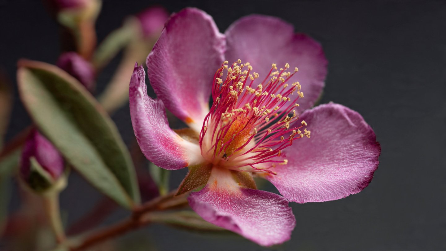 How Did a Lab-Created Flower Thrive Without Nature's Help?