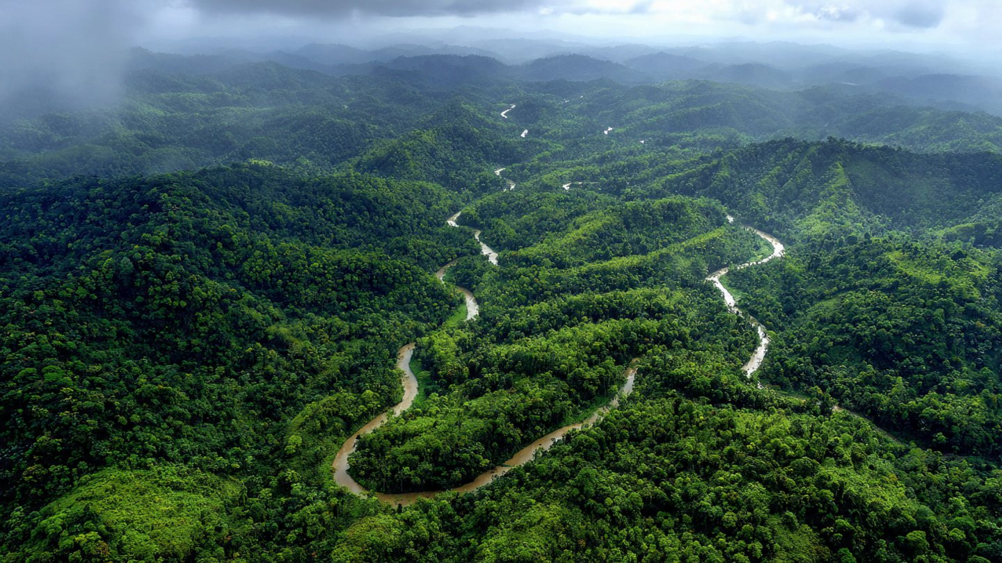 Once deforestation halted, regional rainfall cycles began stabilizing