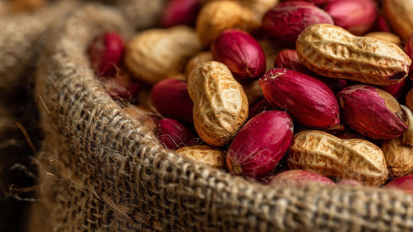 Revealing Secret Growing Queen Peanuts at Home — Didn’t Expect There to Be So Many