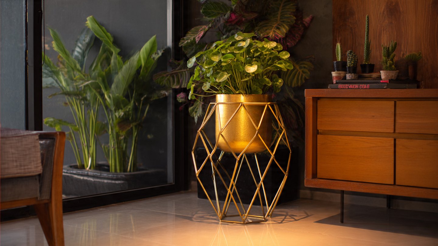 Why Is This Unique Metal Stand a Game Changer for Your Space?