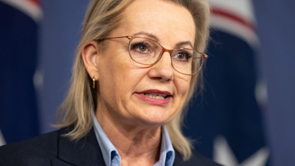 Ley’s shadow immigration minister ‘never agreed’ to unreleased Liberal plan to ban migrants from Gaza and Somalia